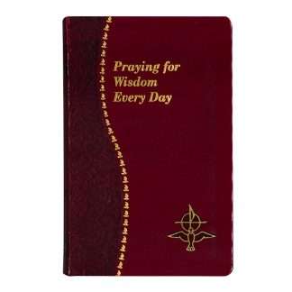 Praying for Wisdom Every Day book by Rev. Jude Winkler O.F.M. Conv.